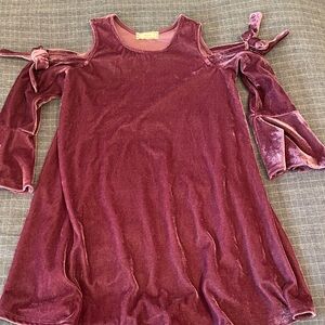 Soprano Velvet Dress in Rich Purple